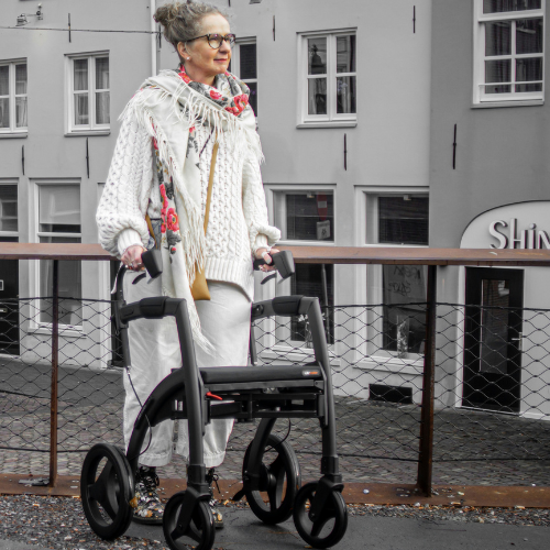 Top 10 Walkers for Seniors in 2025