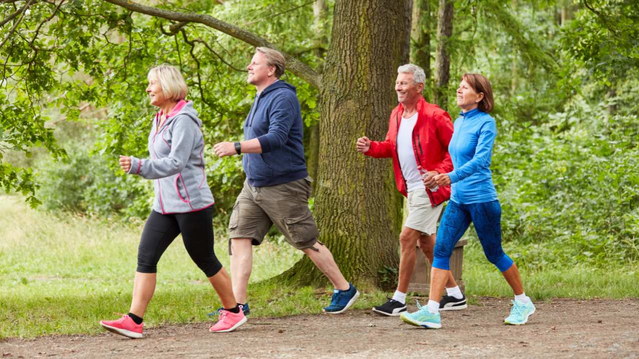 Walking shoes for senior women with pain relief